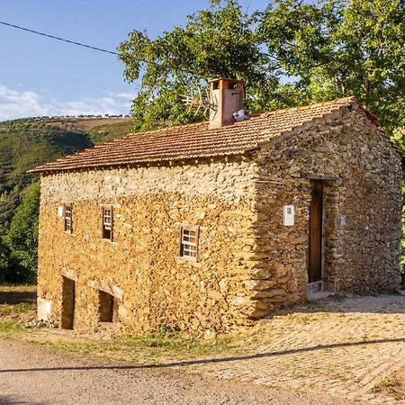 Casa Da Corrica - Alojamento Local Negreda Екстер'єр фото